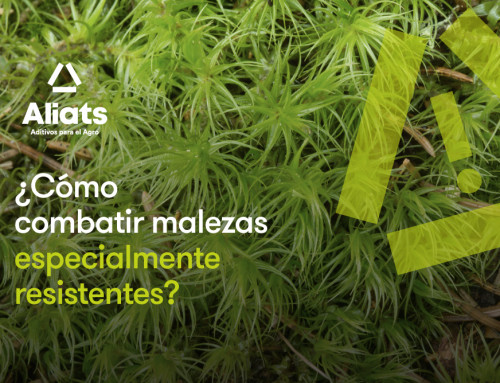 Malezas difíciles: ventajas de la utilización de sulfato de amonio sólido en el caldo de pulverización
